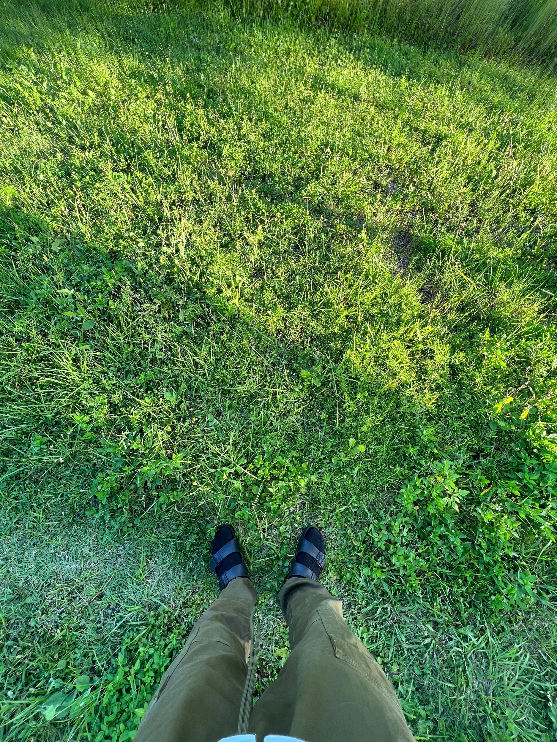 IMG_5967.jpeg