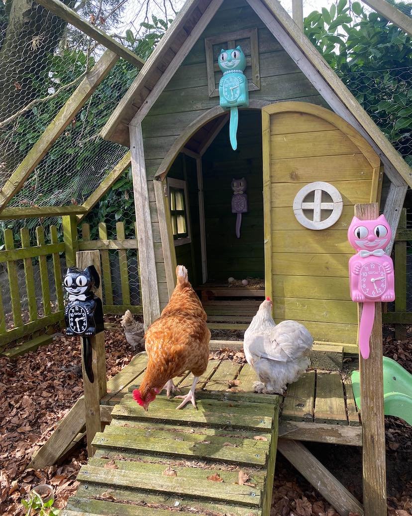 Spring is in the air!! Get yourself a colorful kitcat clock to bring out the sunshine!

www.kit-cat.co.uk

#spring #flowers #clock