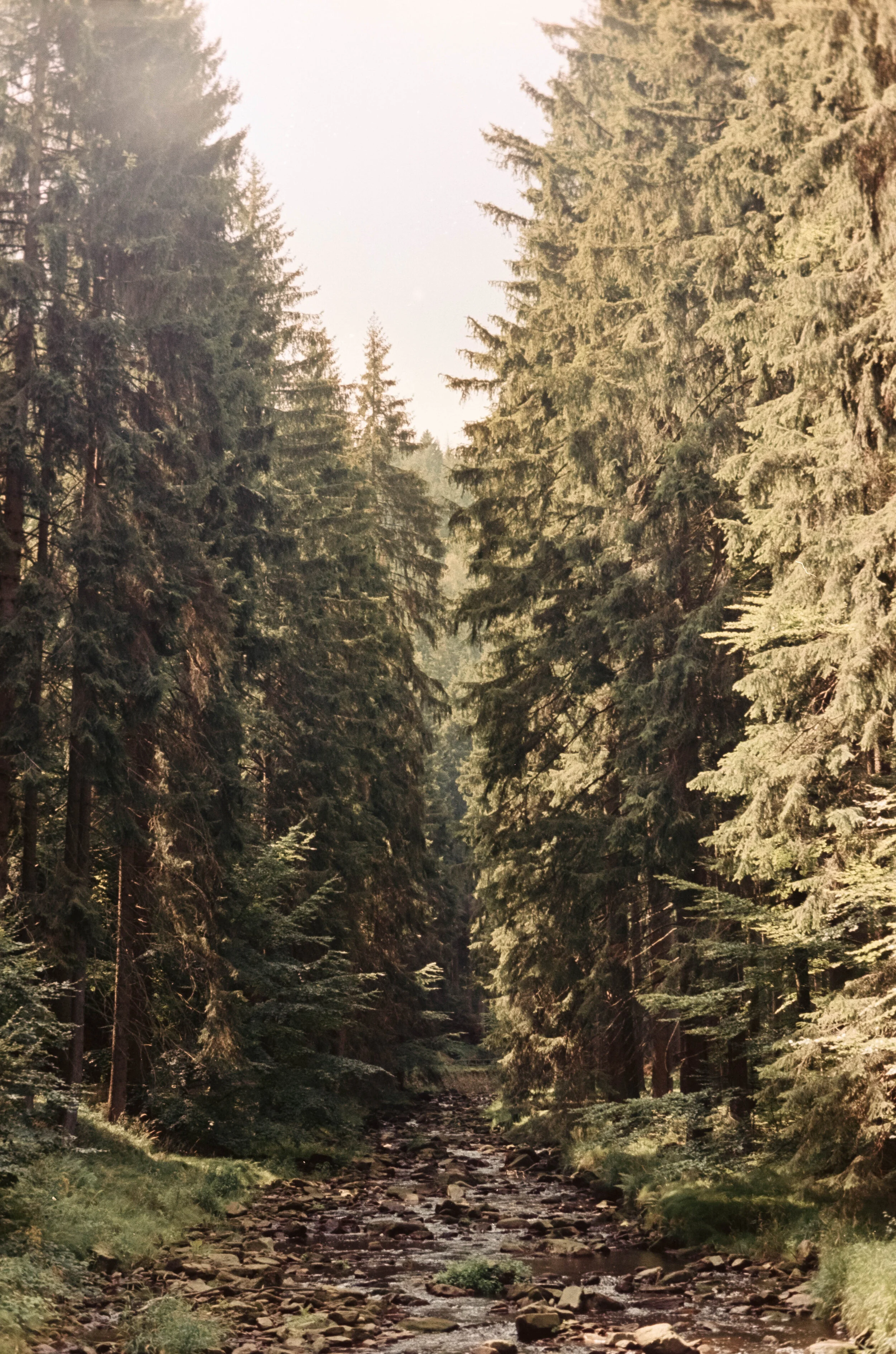 DSCF3210.jpg