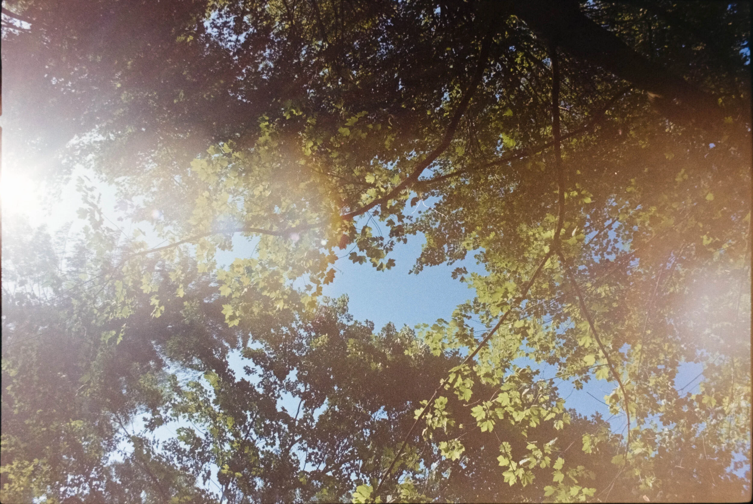 DSCF9652.jpg