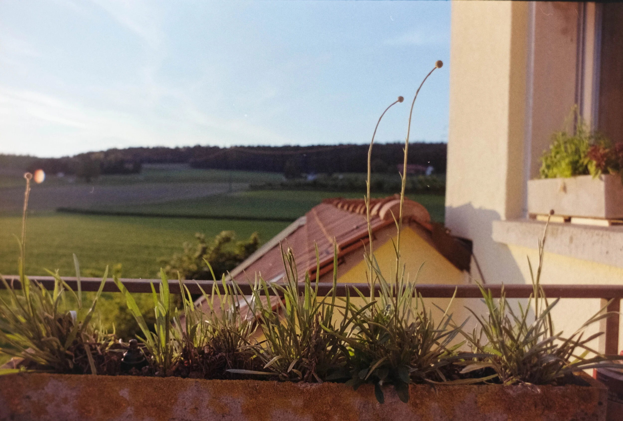 DSCF9700.jpg