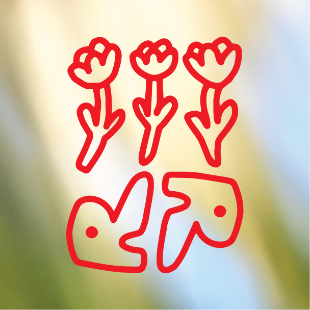 Ruckus_Portfolio-02.png