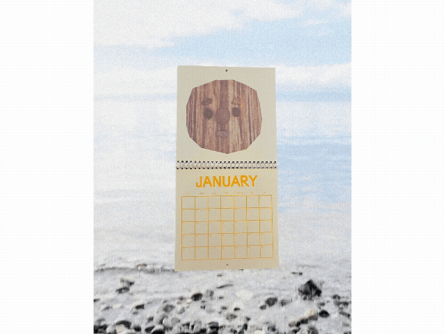 Untitled-3.gif