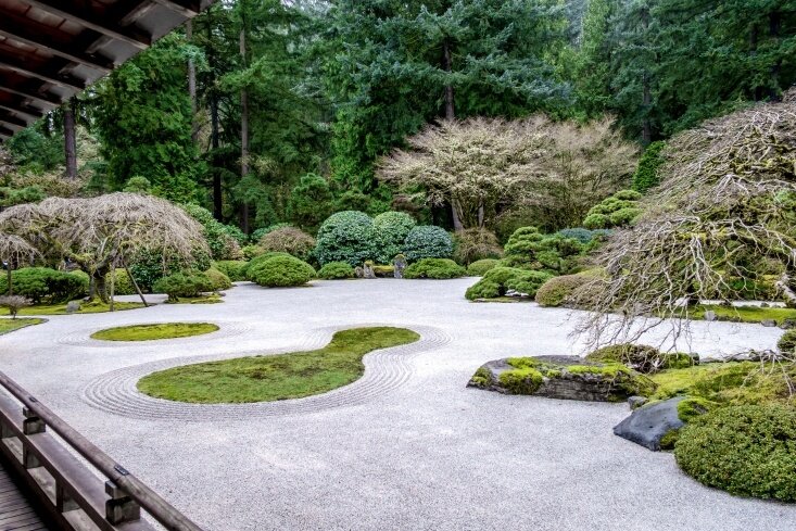 zen garden 1.jpg