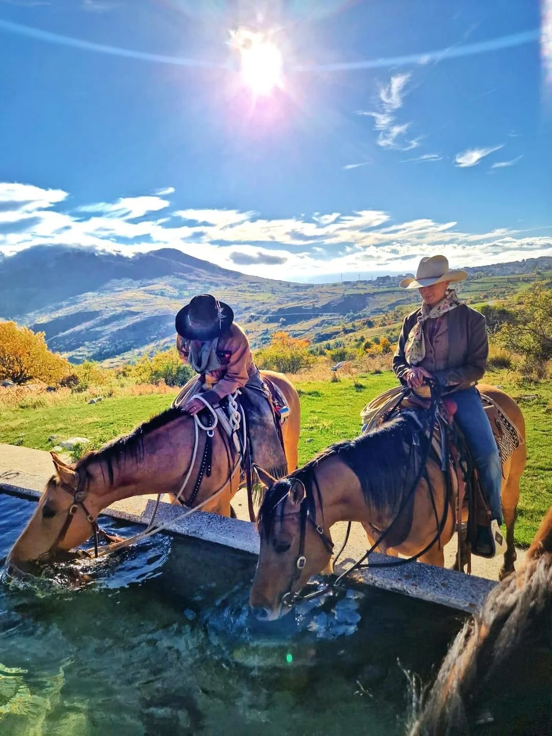 "Still Cowboy"