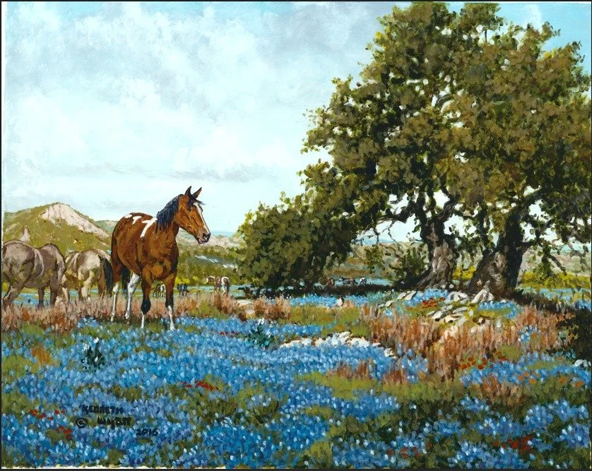 "Bluebonnets"