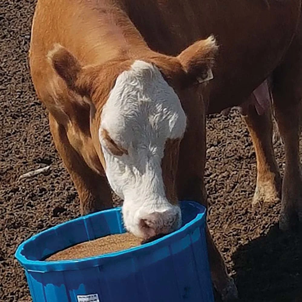 50- Protein Tub Donation