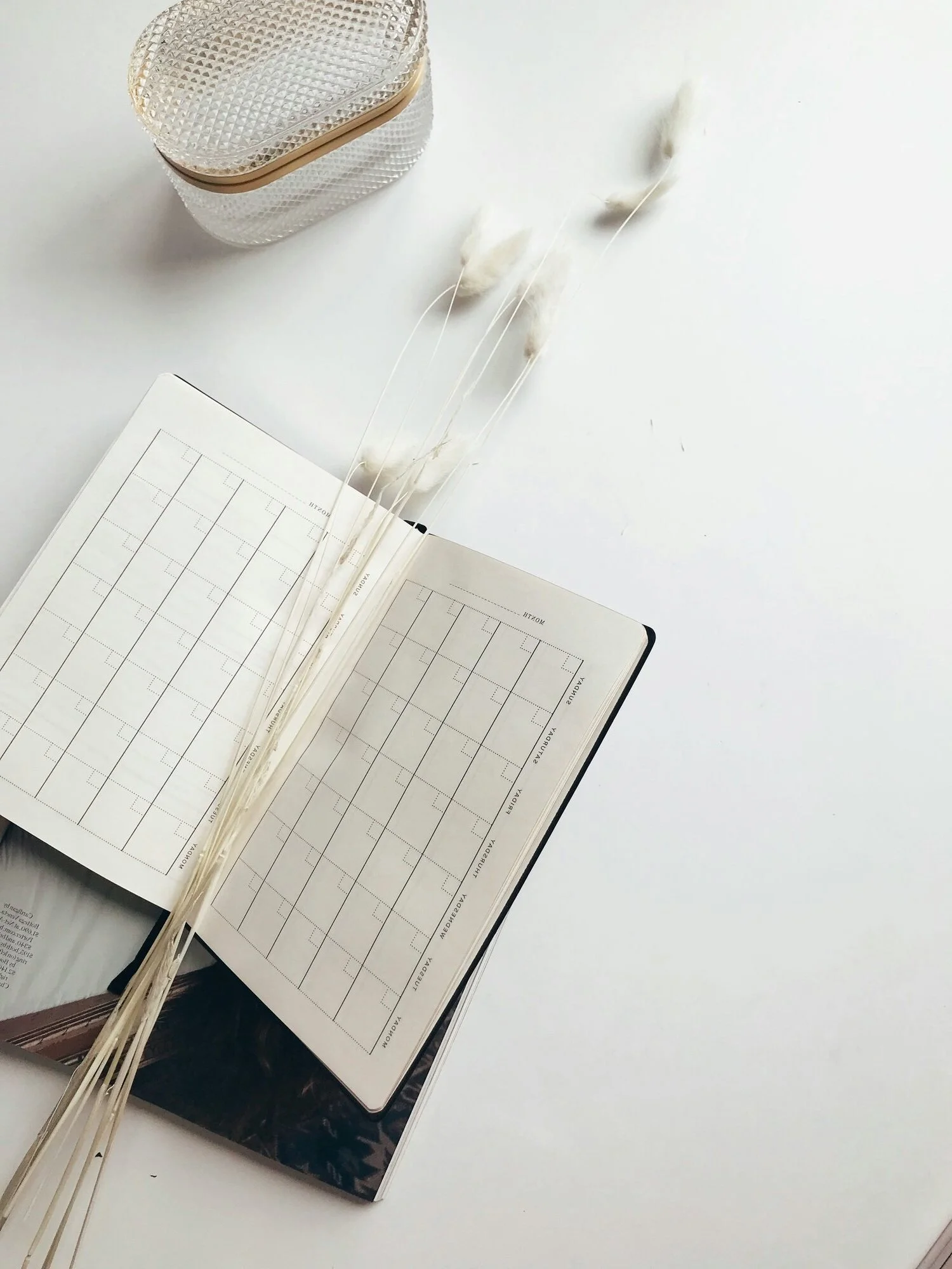 Open planner or scheduler with blank weekly layout, three dried cotton stems, a small glass container with a textured pattern, and part of a book on a white surface.