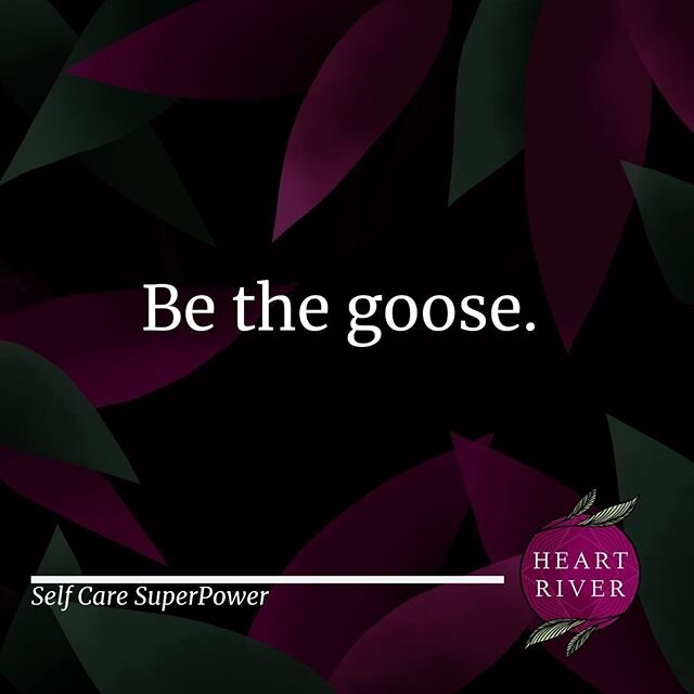 When geese migrate, they fly together in a v formation The goose in the front is the leader and together with the geese immediately behind it, reduce wind resistance and create lift that helps support the other geese&rsquo; weight. This conserves ene