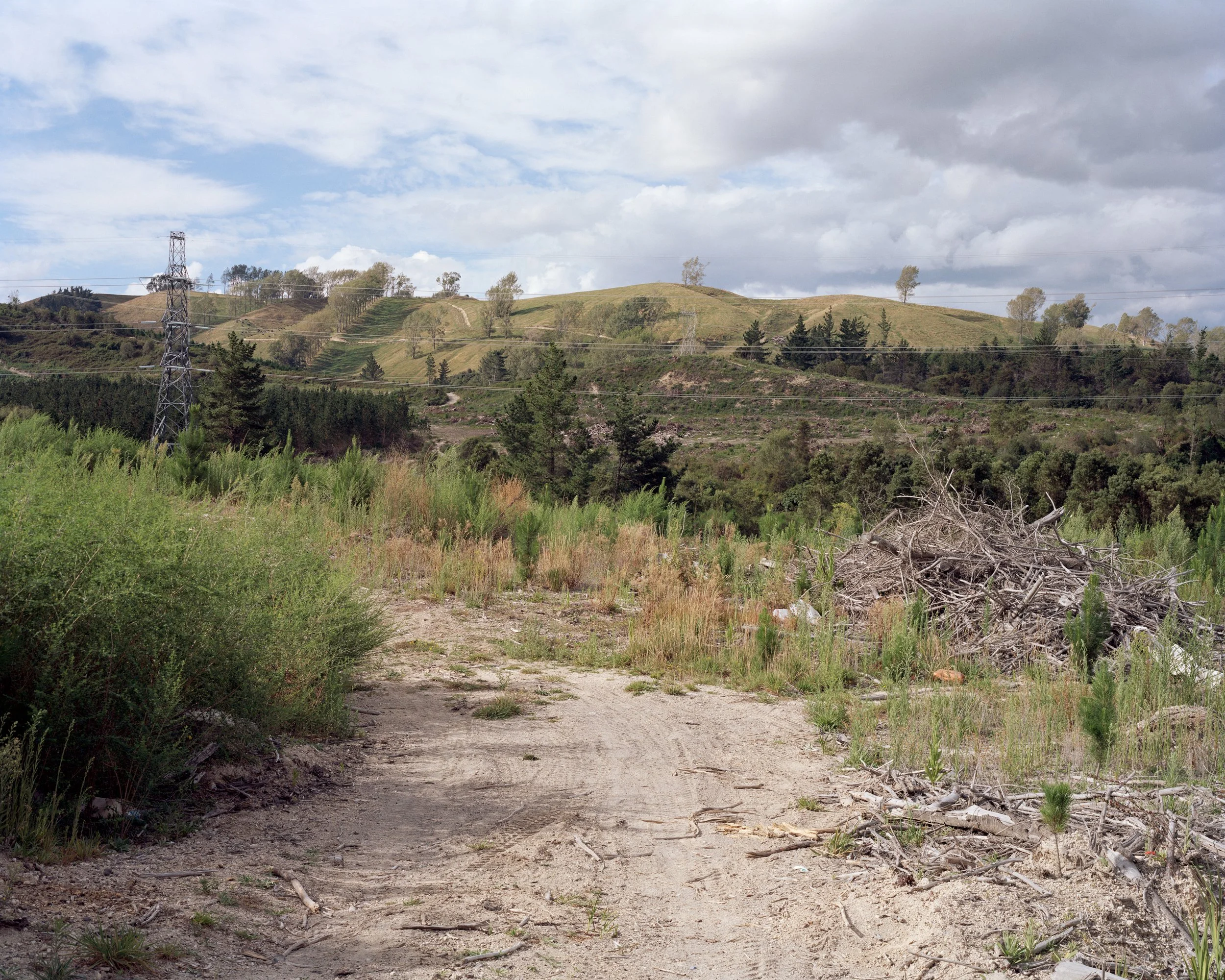   Wairakei, 2023  