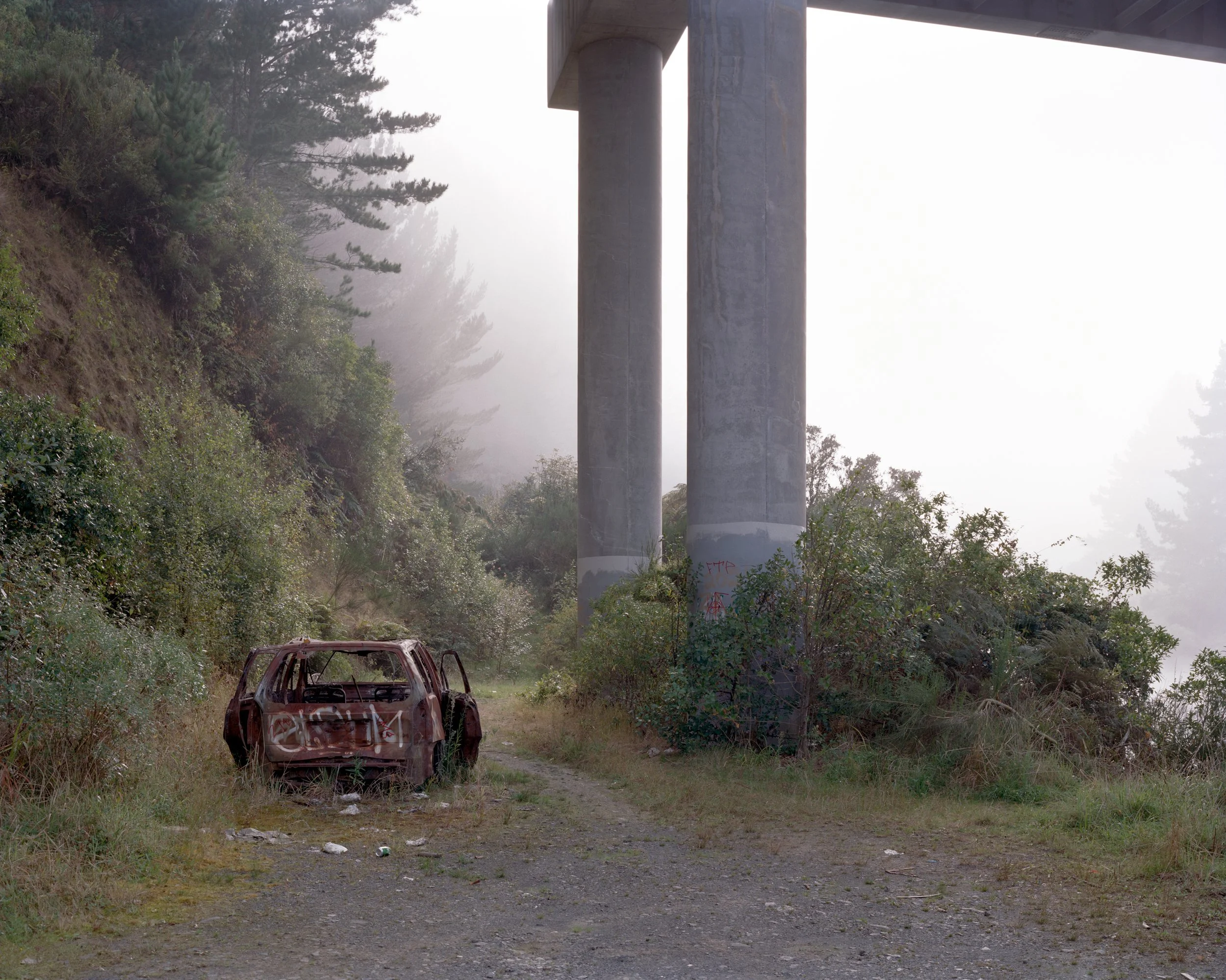   Waikato River,  2021 