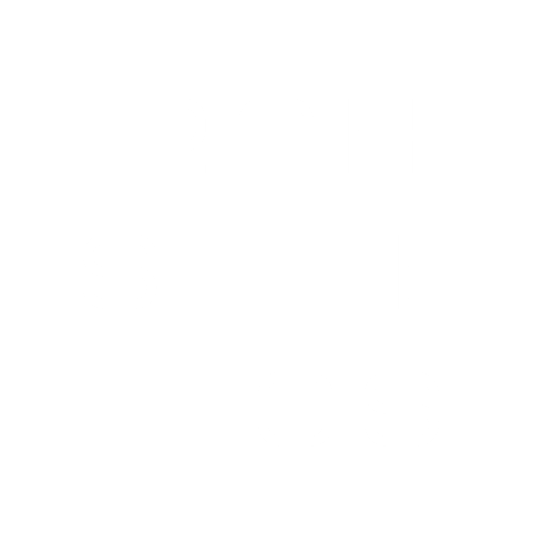 rahsthetics