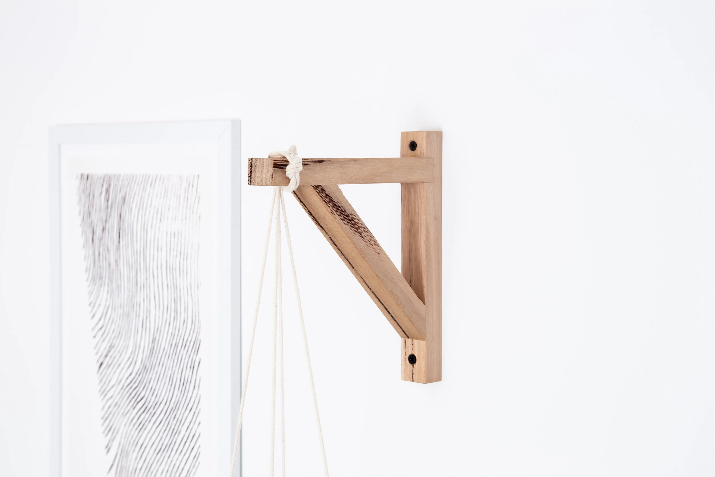 Wall Mounted Plant Hanger