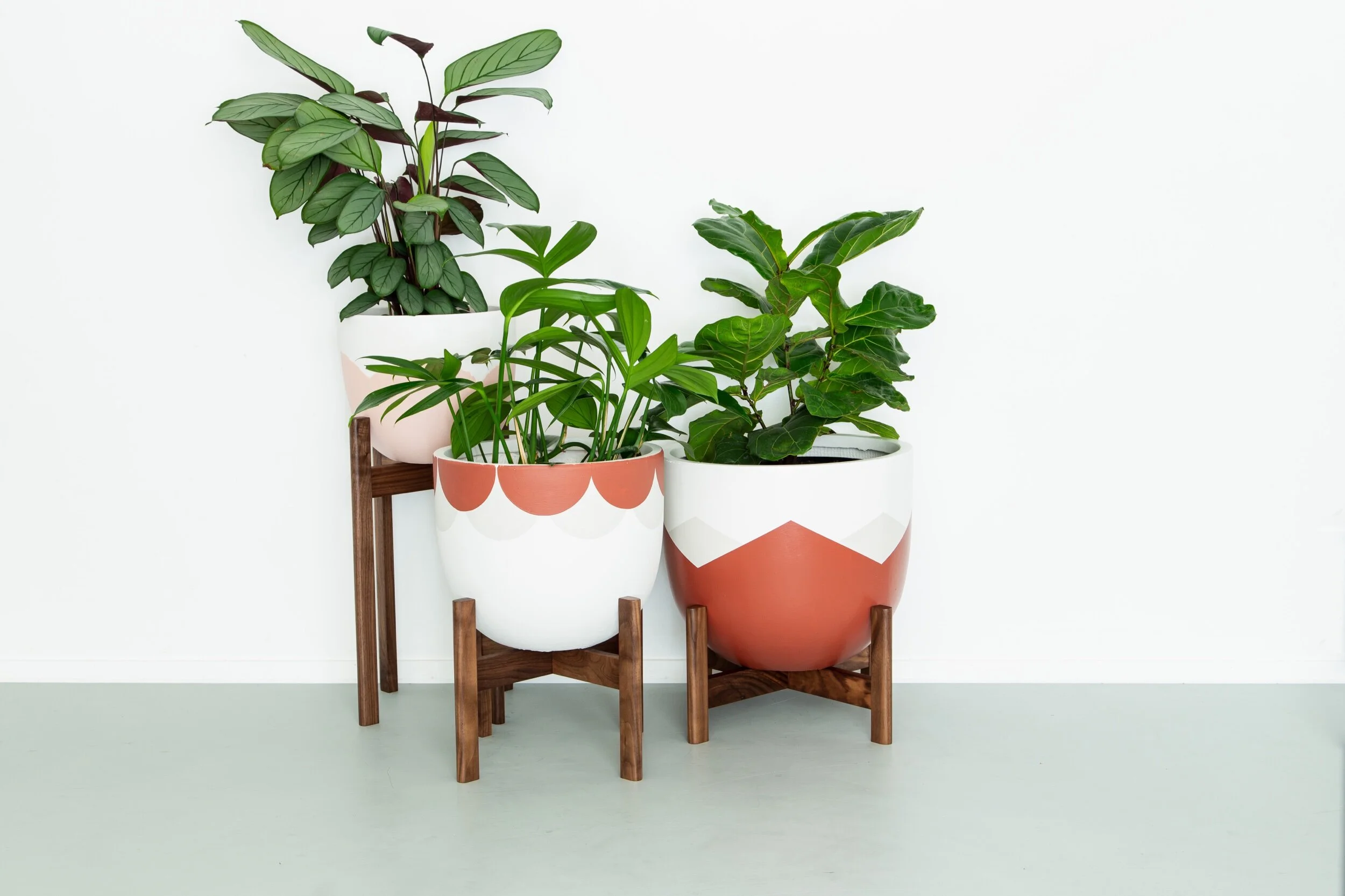 Walnut Timber Plant Stands
