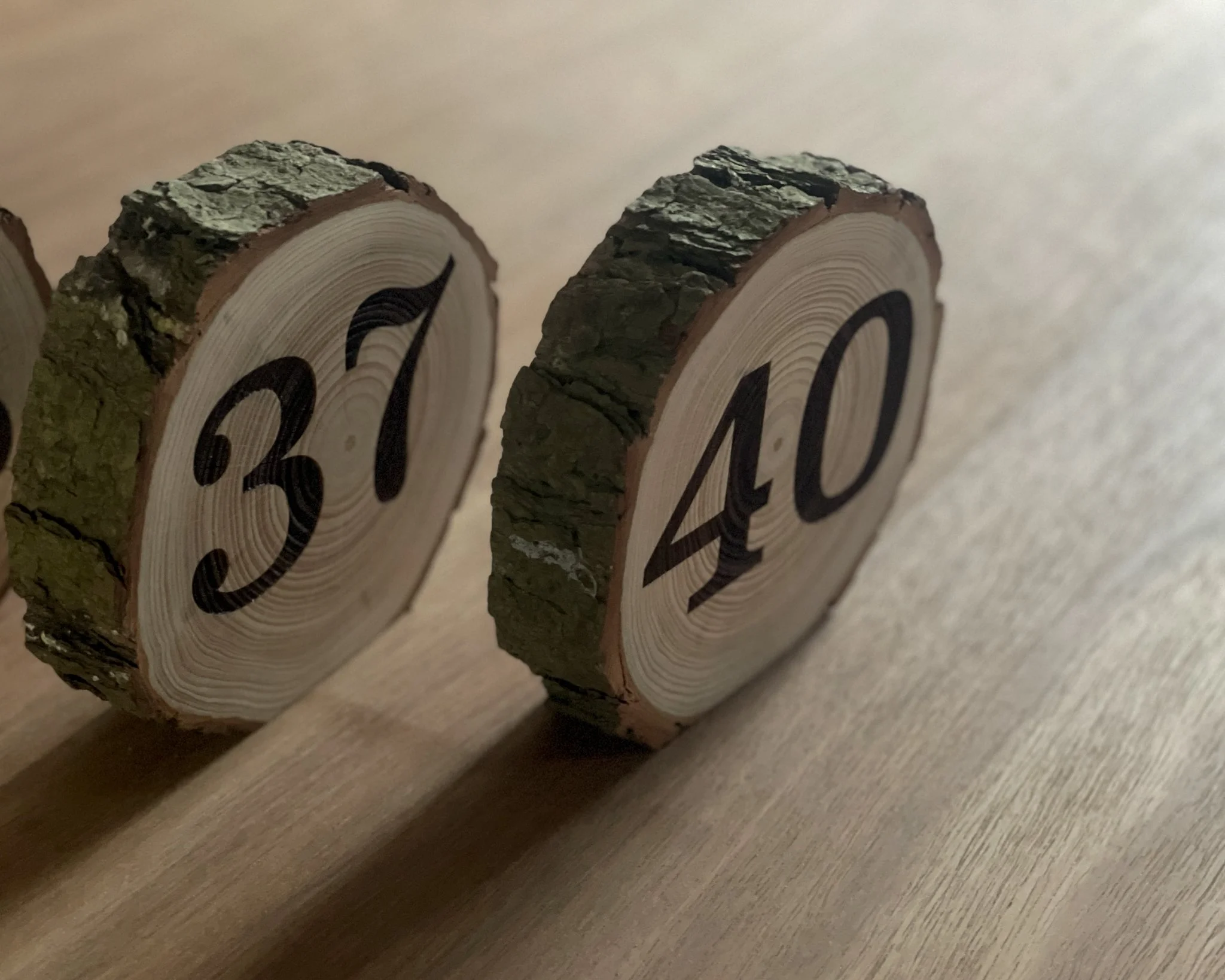 Wooden Slice Table Numbers4.JPG