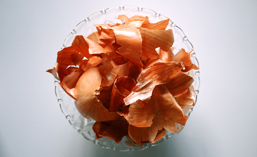 Onion skin contact dyeing / printing – Anthotypical
