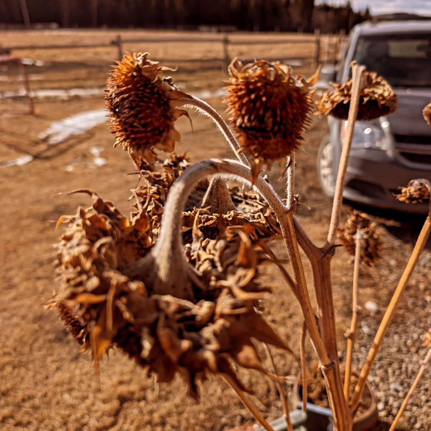 My house is a mess and I've got work on my brain but I wouldn't have it any other way.