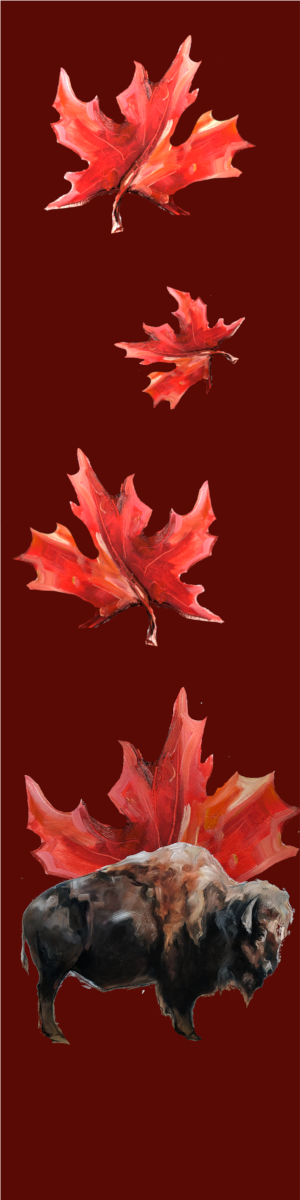 canada bison.png
