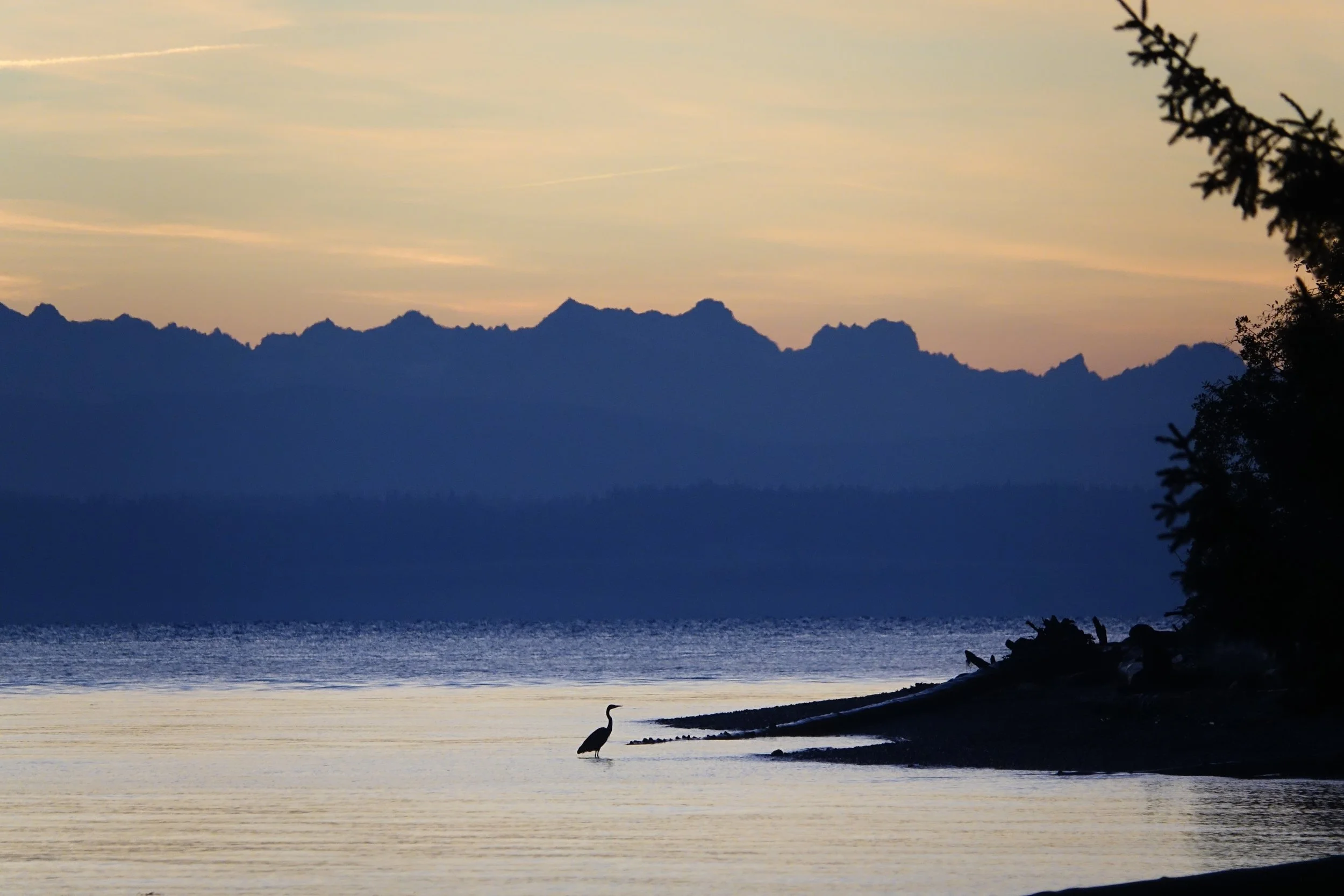 Small Talk #3 - Beauty