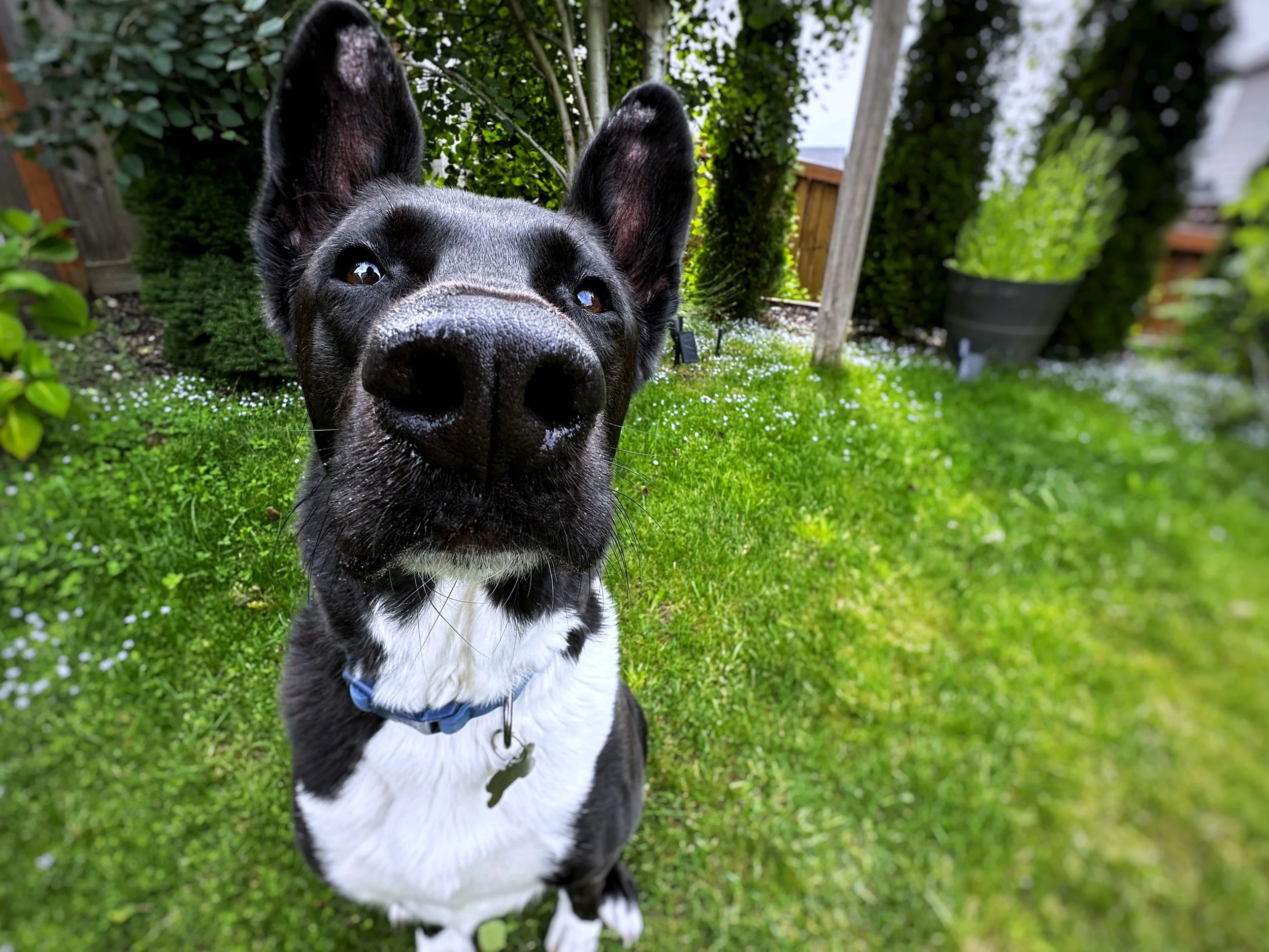 Small Talk 13 - Smell