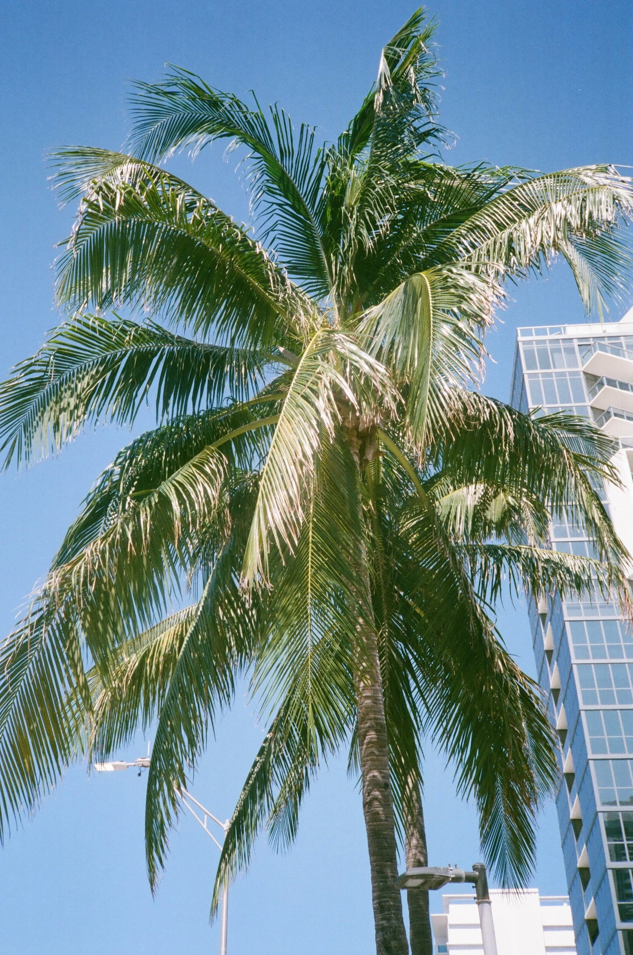 A5959533-C0F9-4337-88E1-C96DDA73525E.jpg