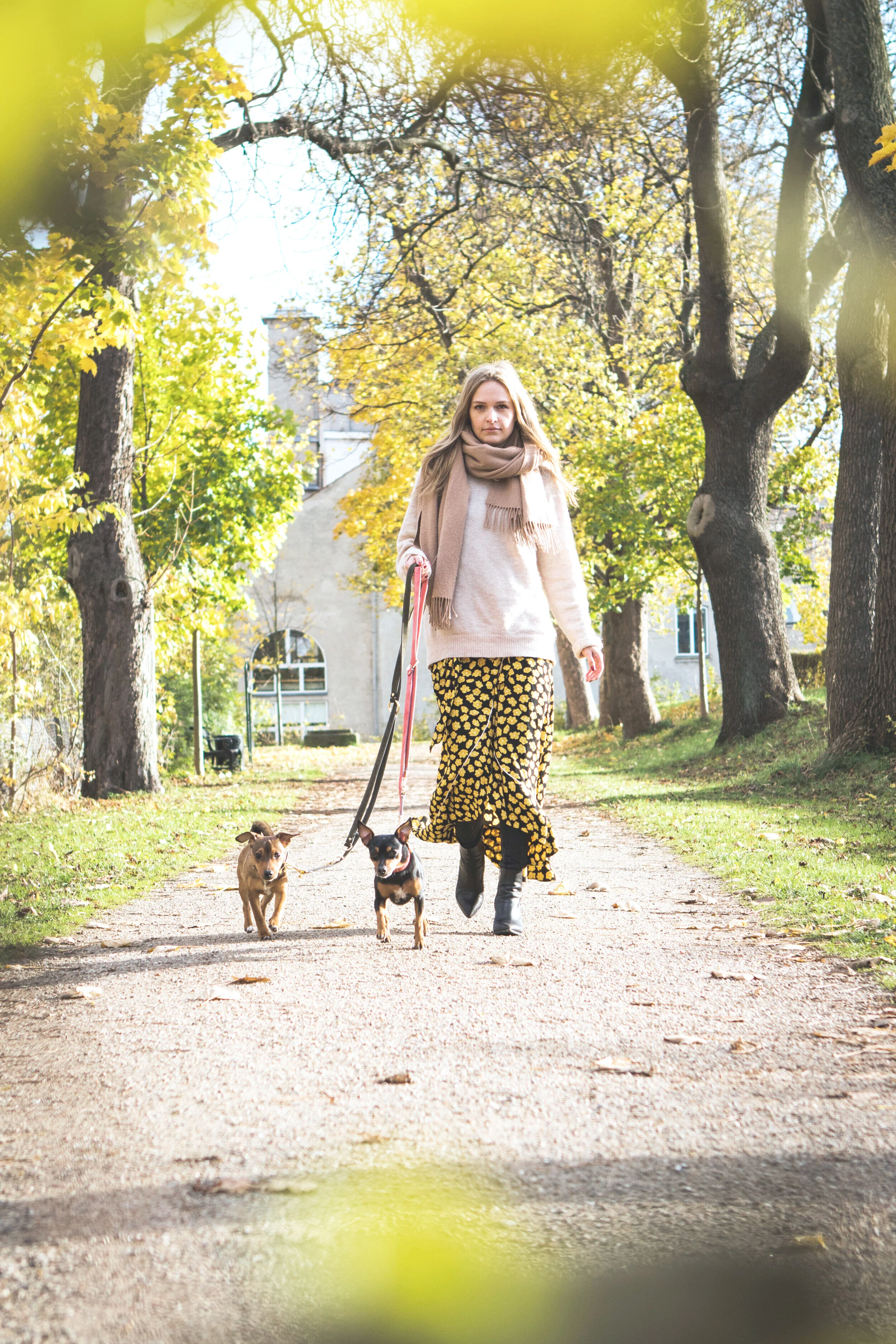 Morning routines &amp; setting the mood for the day  