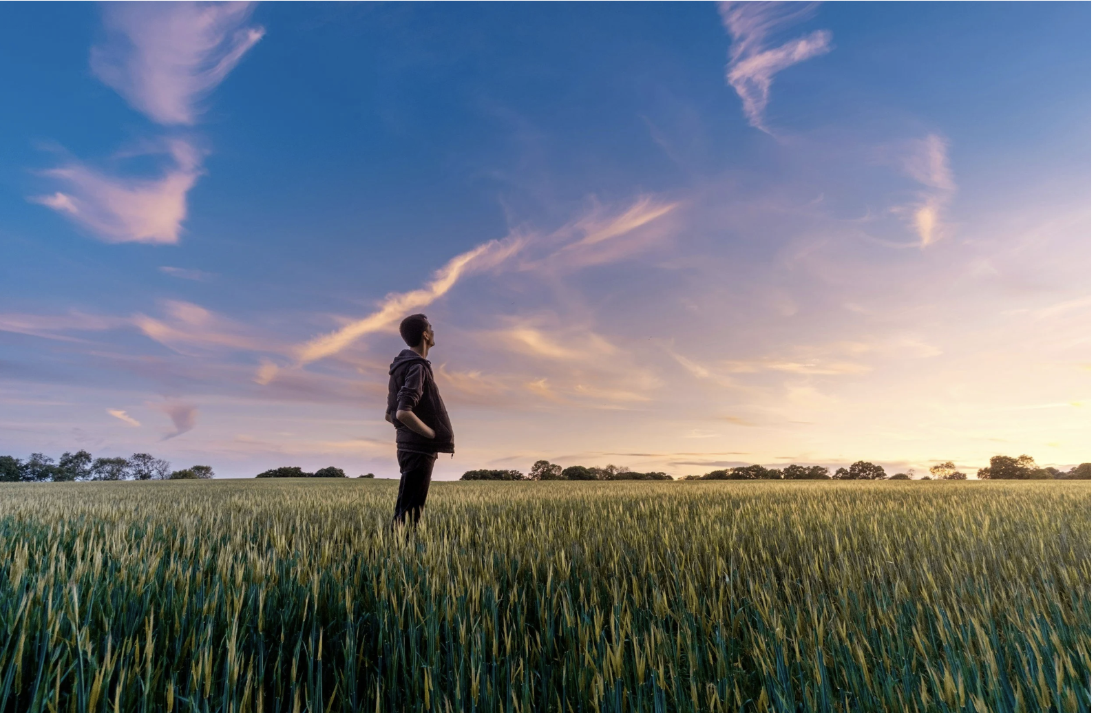 The Four Steps to Healing Centered Growth: Guided by the Question, "Who Am I Becoming?"