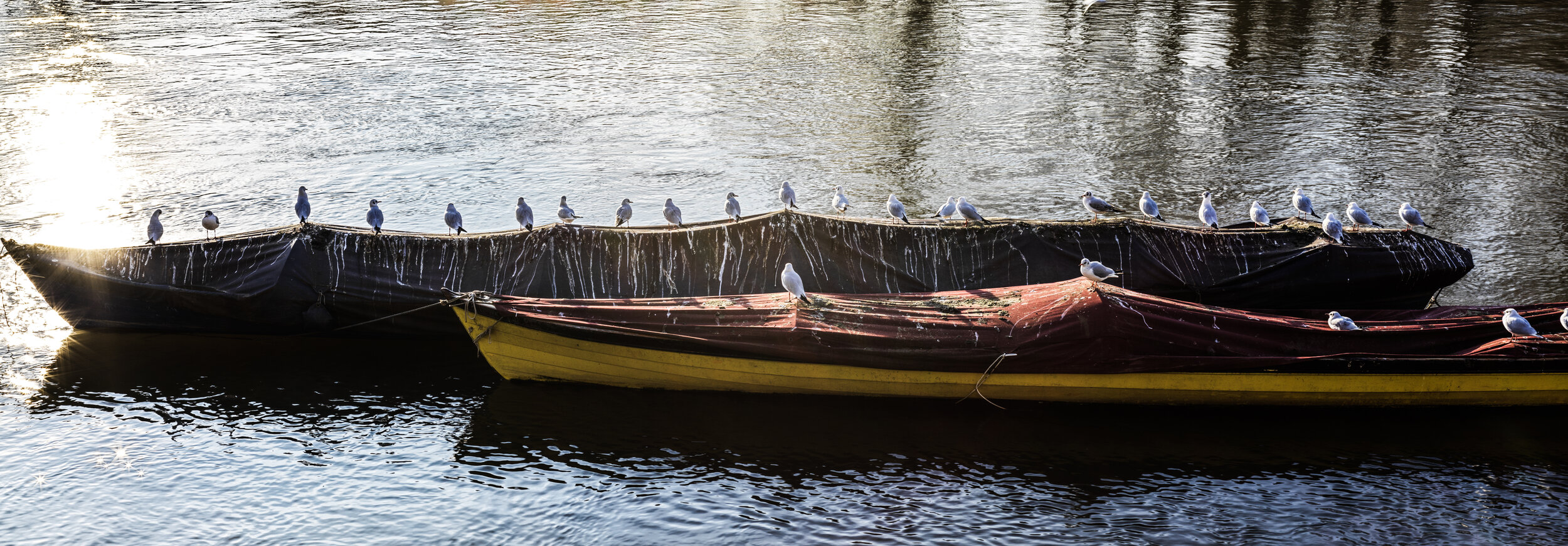 29-12-2019_Out & About_0017.jpg