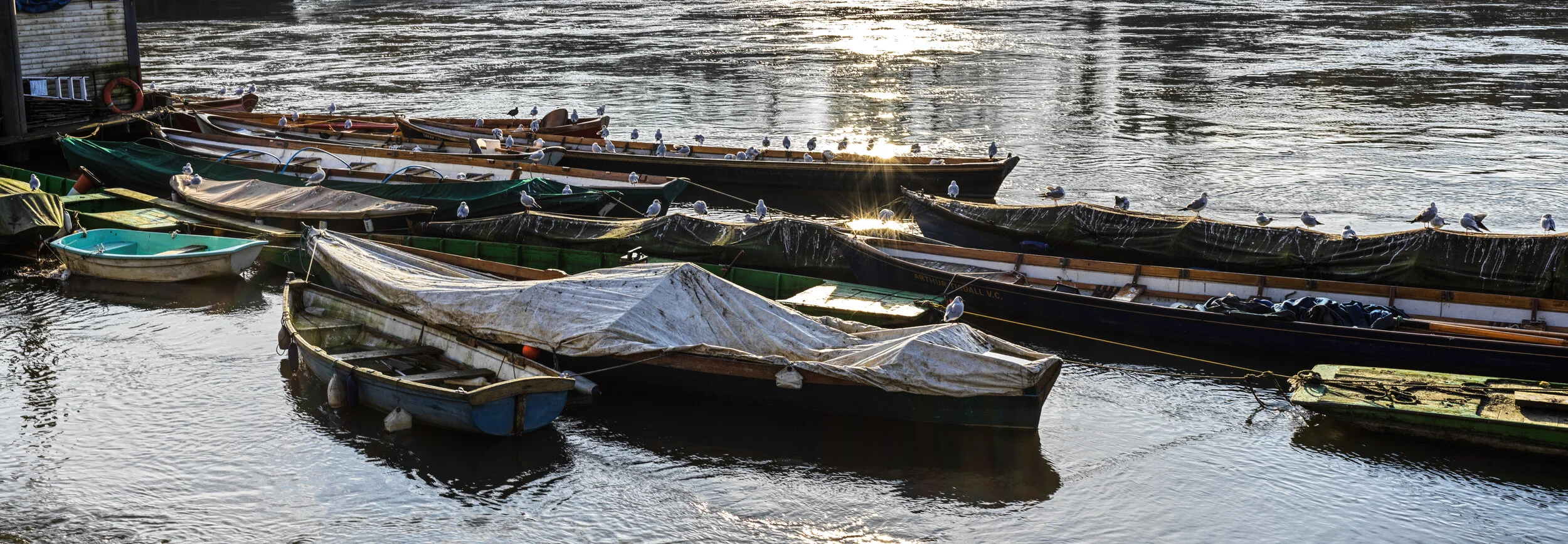 29-12-2019_Out & About_0016.jpg