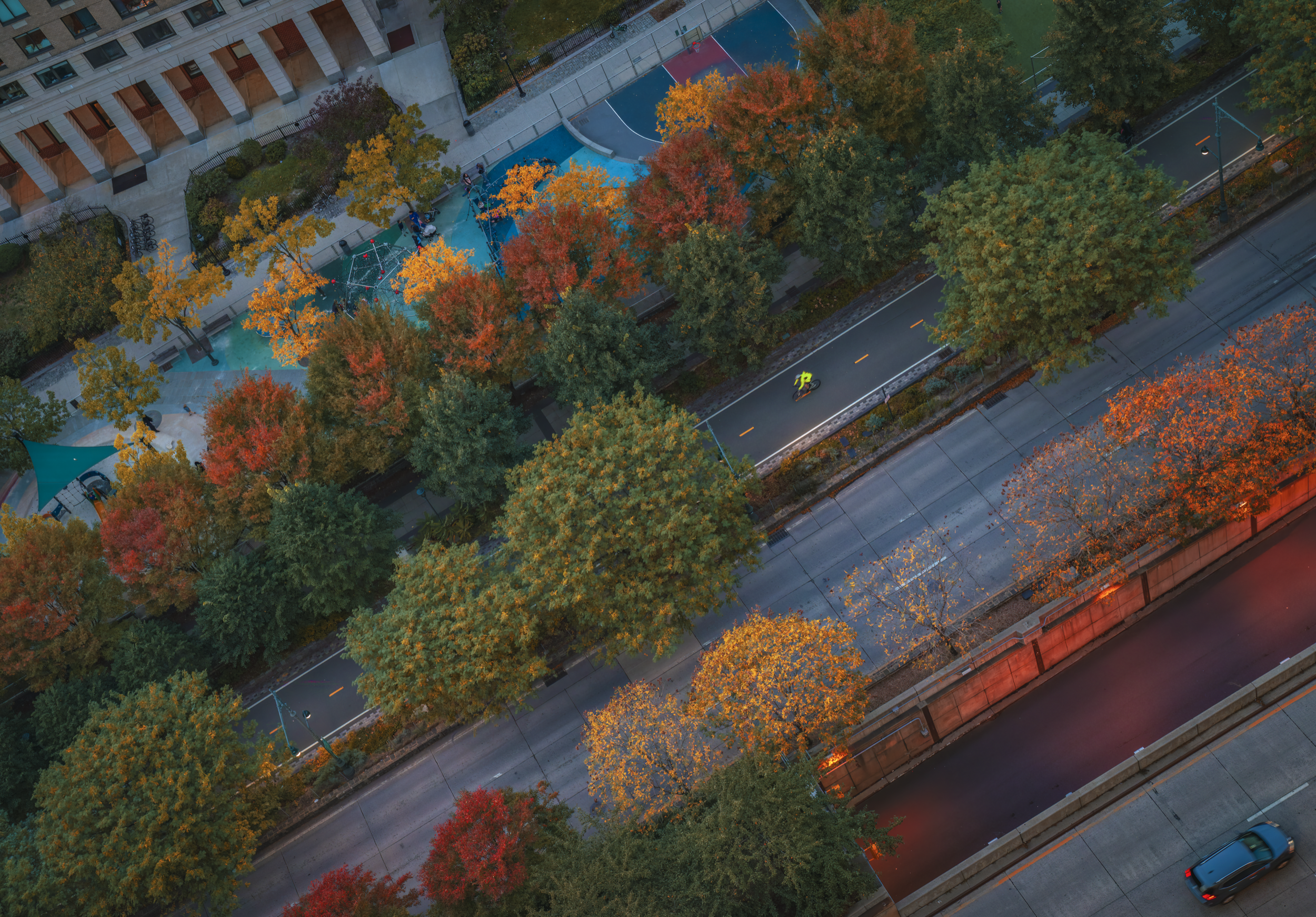 NYC_0034-DeNoiseAI-raw-SharpenAI-softness copy_WEB.png