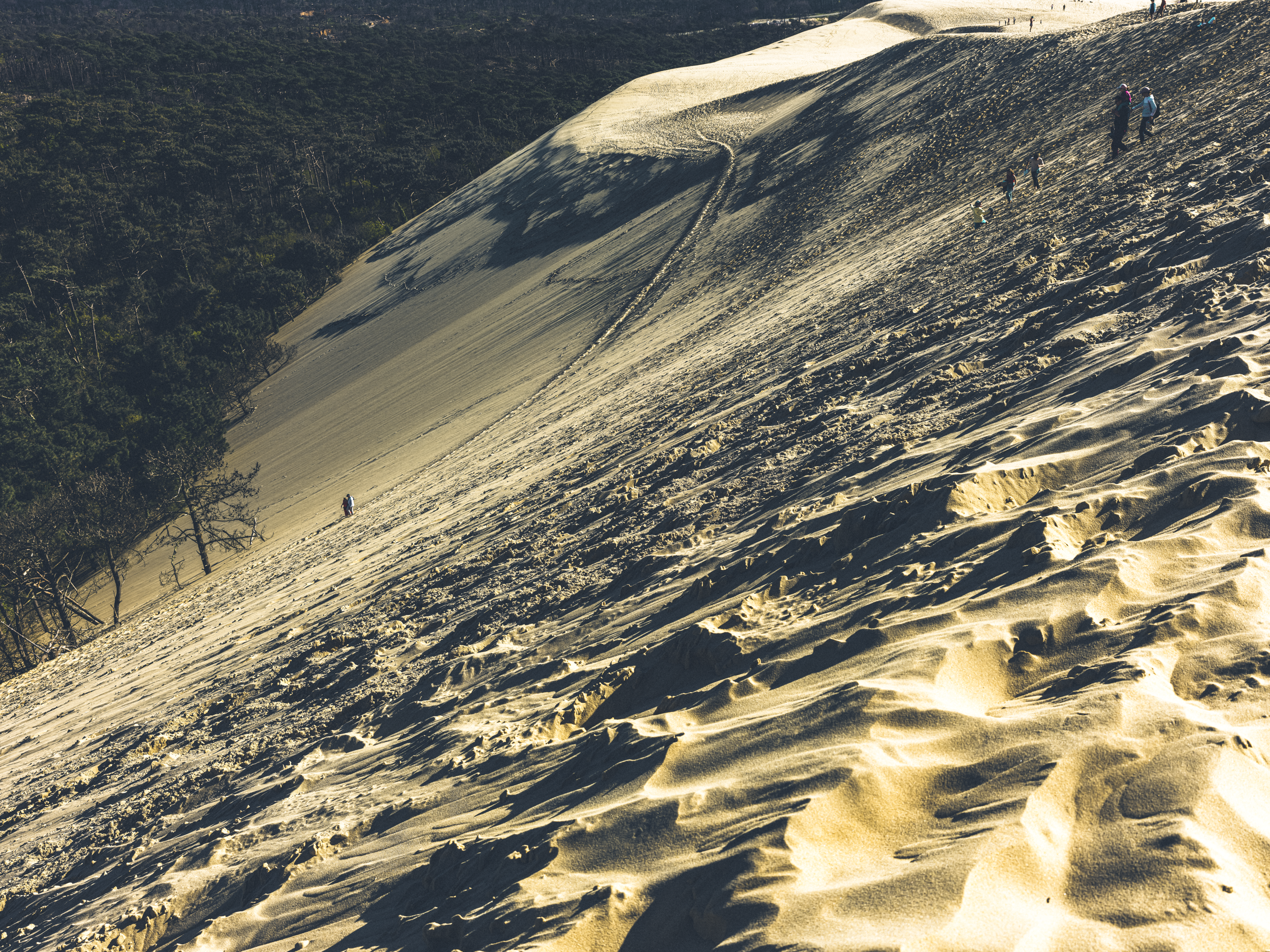 france-bordeaux-pylar-sand-dune.png