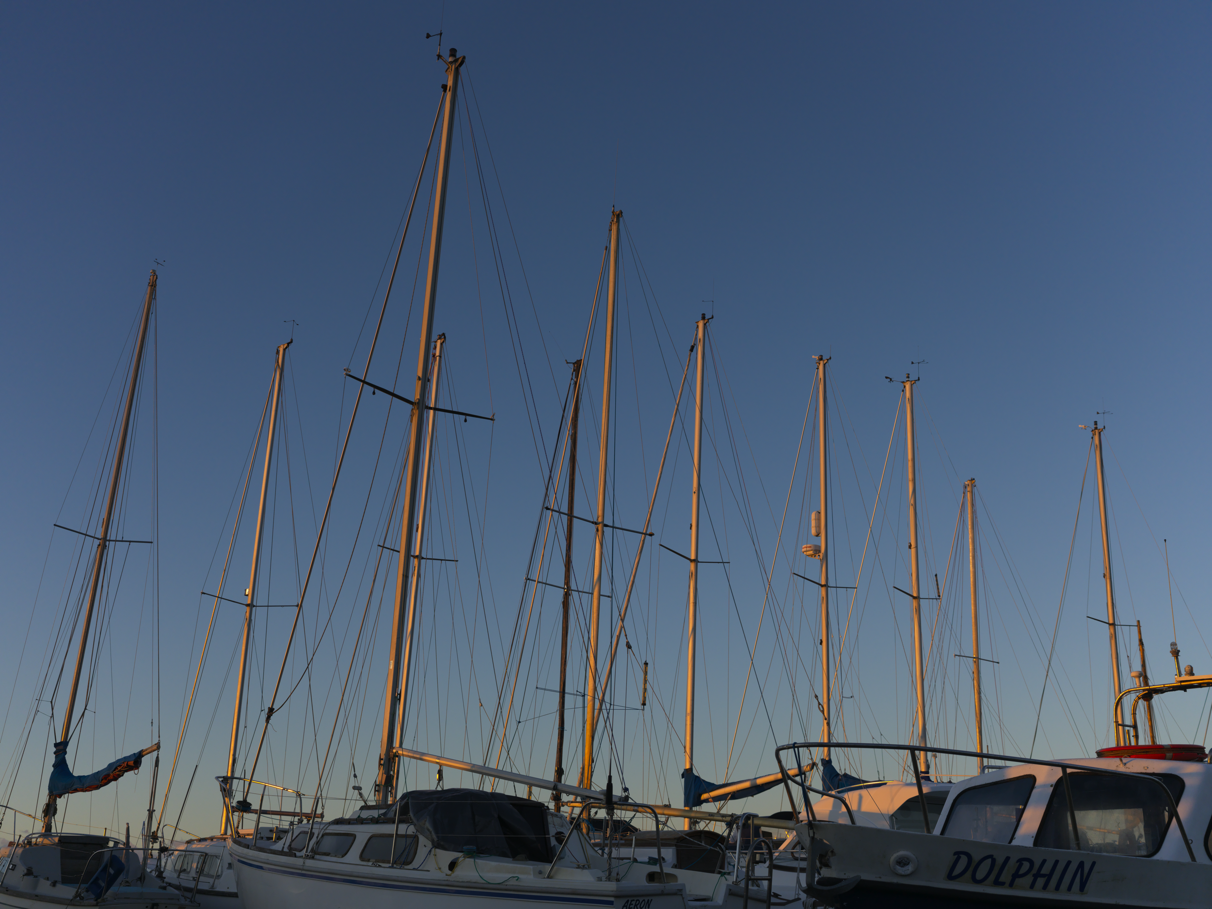 Masts in the Sunset