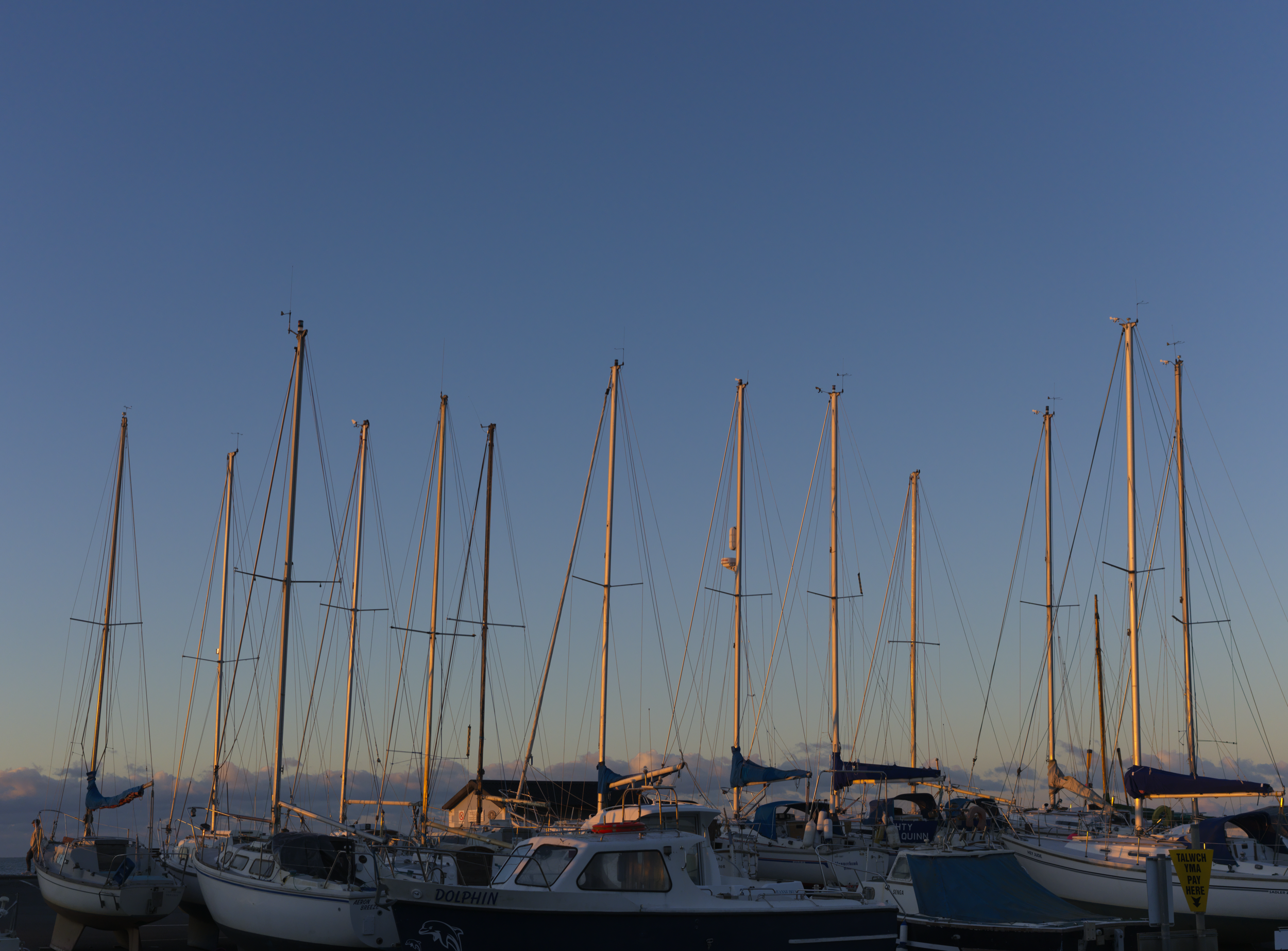 Masts in the Sunset II