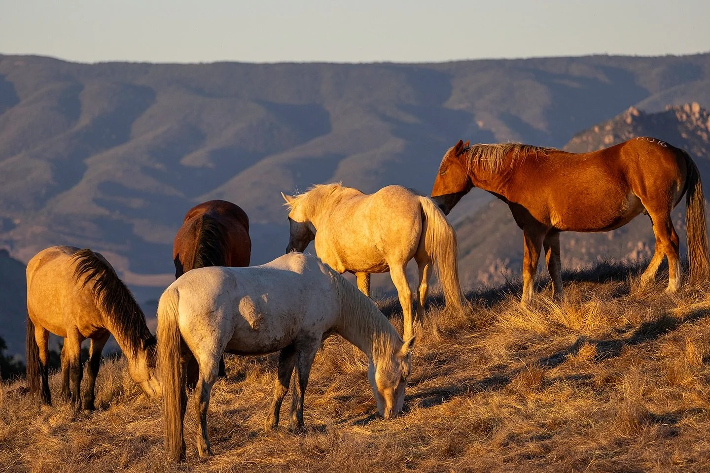 I thought I&rsquo;d sit down today to write about my time at @returntofreedom&hellip;.but the truth is, I don&rsquo;t know where to begin ! 
Thousands of photos, hours of film, sketchbooks overflowing and more emotions that I can put into words.
So t