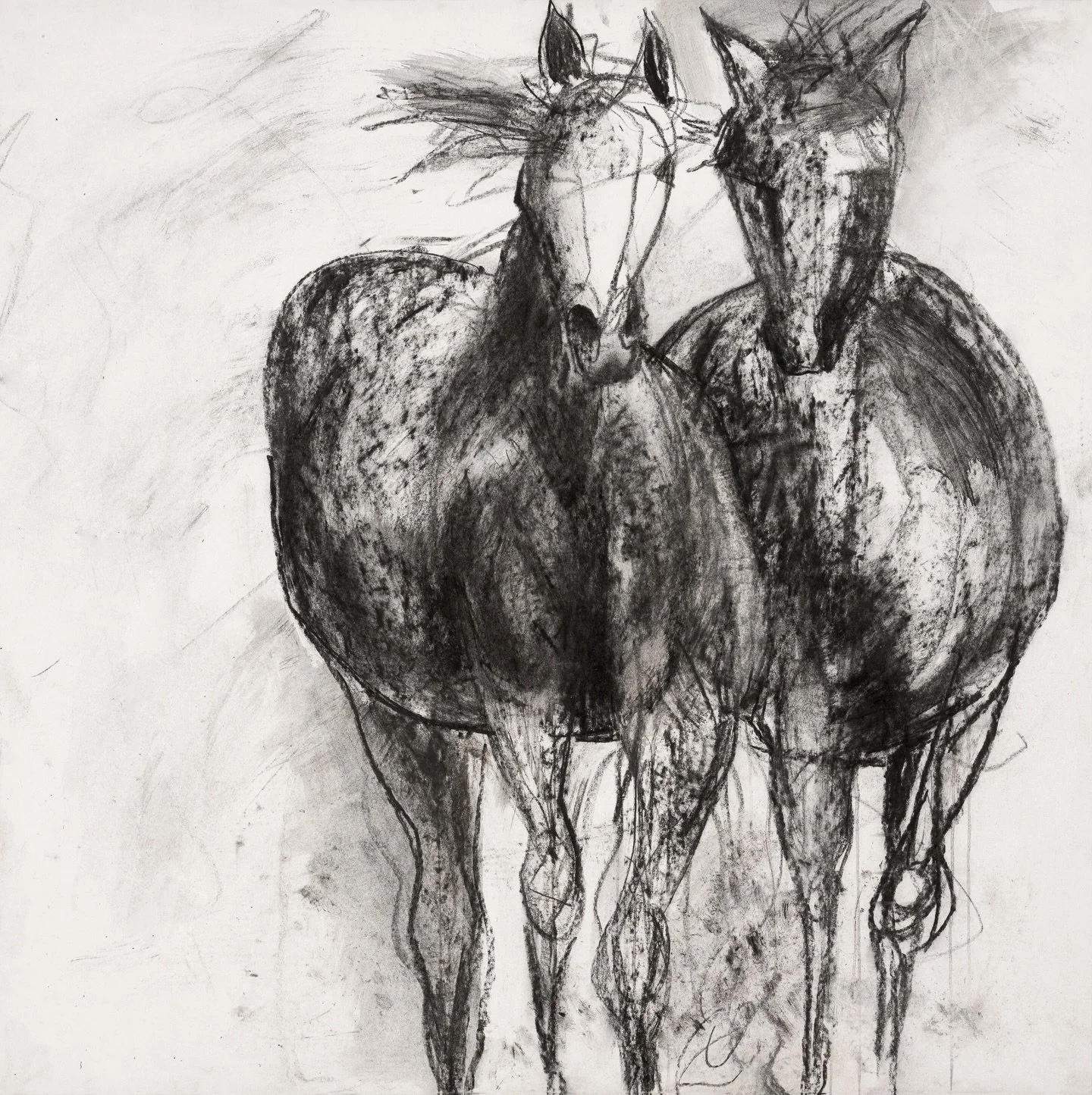 &ldquo;Two Hearts&rdquo; &mdash; Fine Art Print 🤍🖤 One of my most collected pieces - and already loved in many homes.

Two hearts beating as one &mdash; this artwork celebrates the powerful unity within the herd. Drawn in rich, elemental charcoal, 