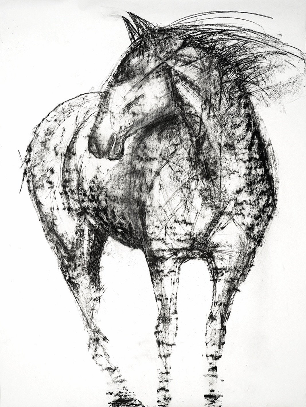 Just about to send this Fine Art Print of &ldquo;Someone to Watch Over You&rdquo; off to its new home 🤍 This piece always felt like having a horse quietly watching over me while I slept &mdash; the original used to hang in my bedroom, and I miss it 