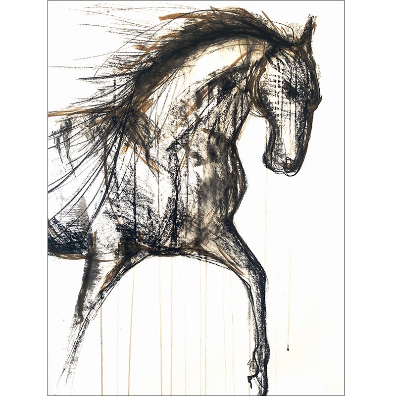 Boogie-greeting card-horse.jpg