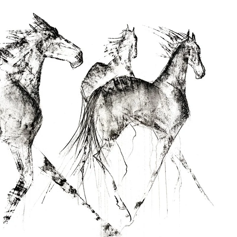 wild-horses-greeting-card.jpg