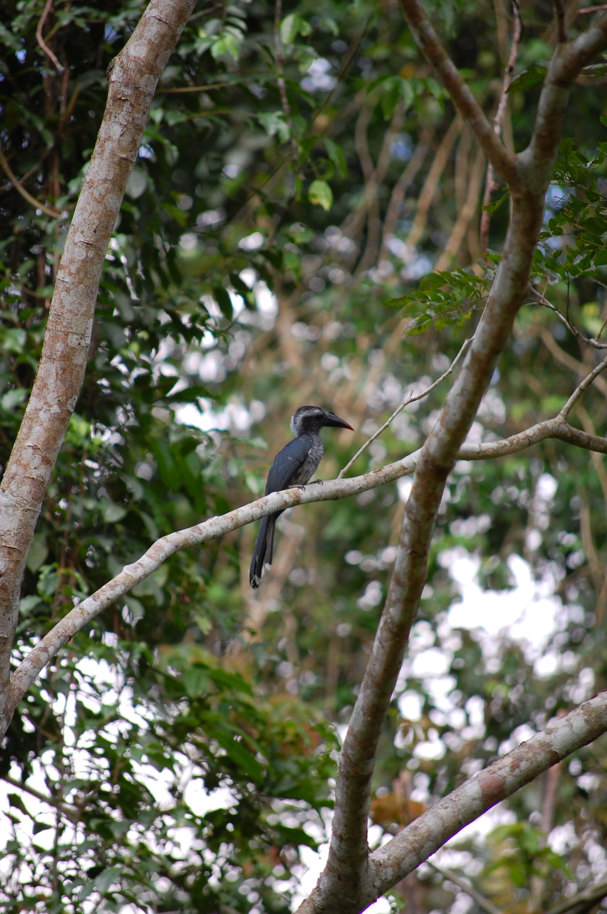 DSC_0351.JPG
