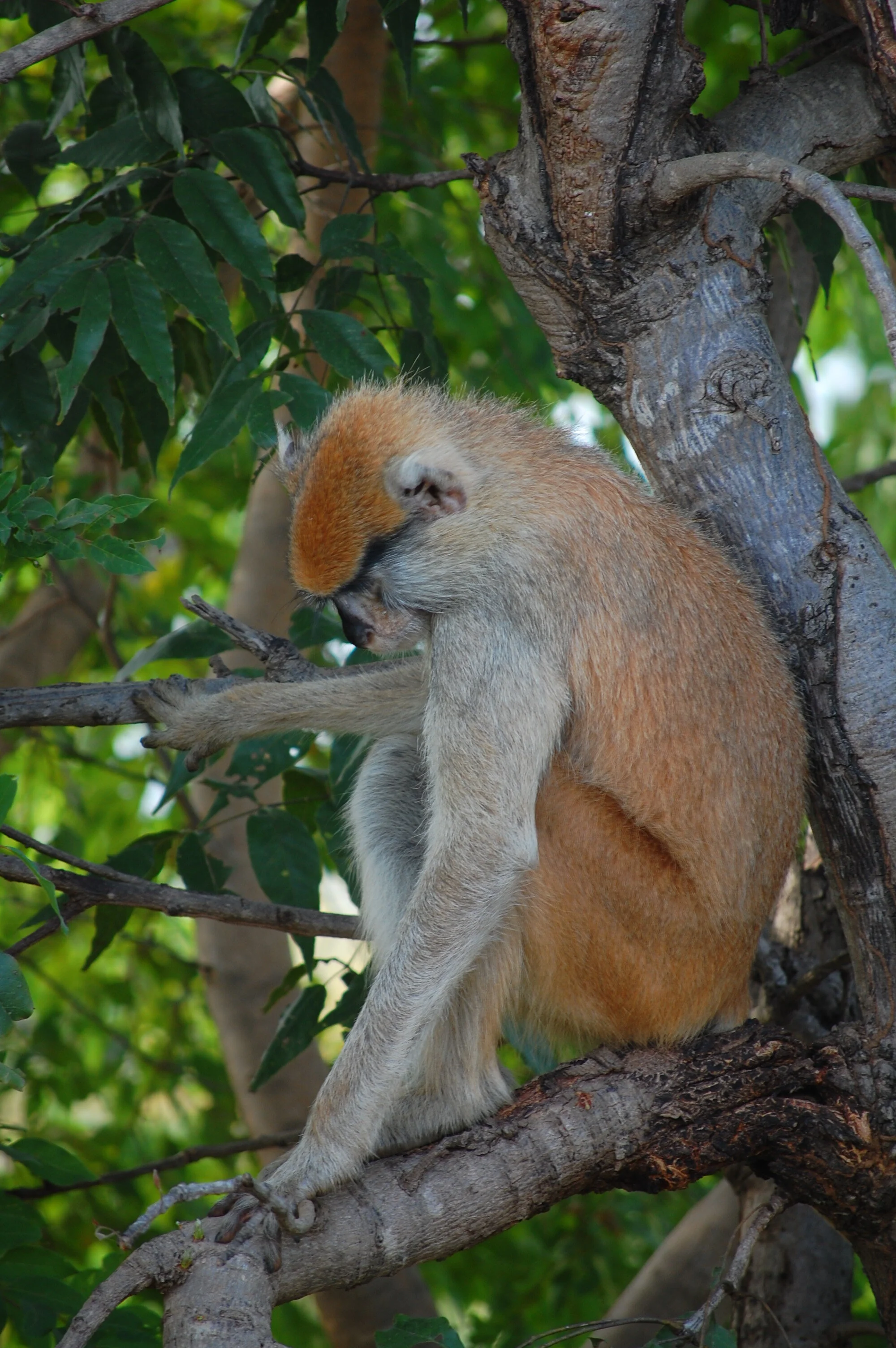 DSC_0614.JPG