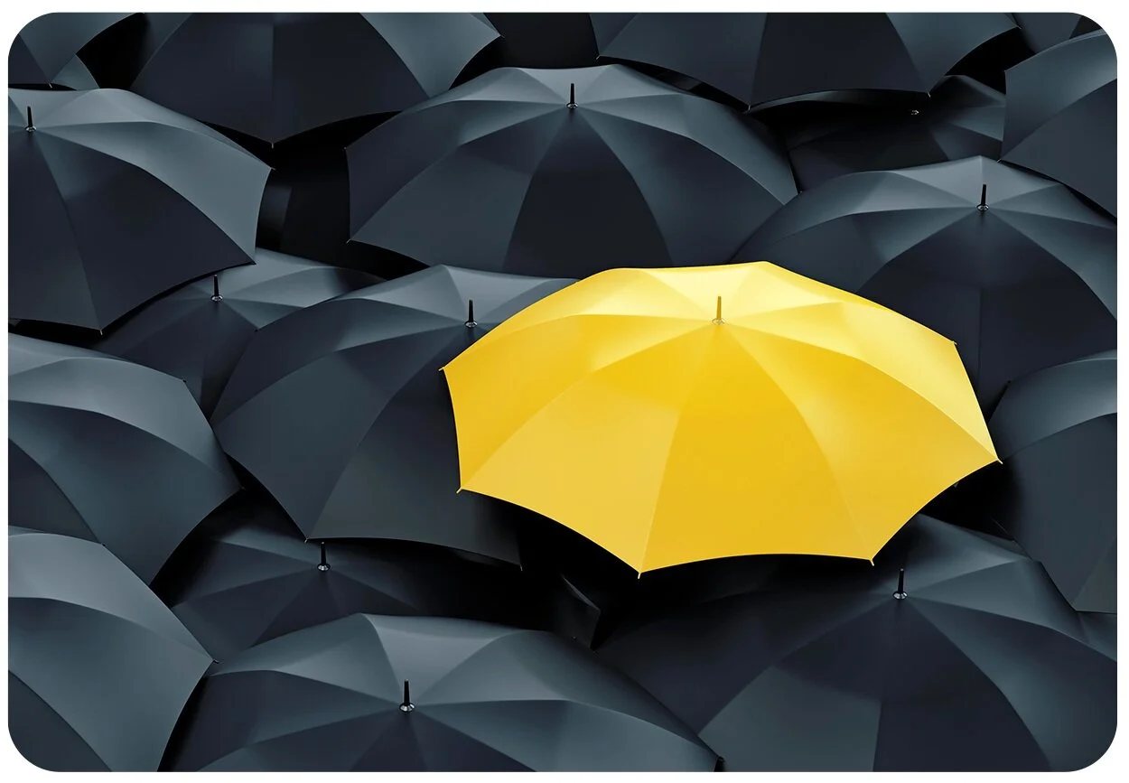 Brand Discovery and Differentiation