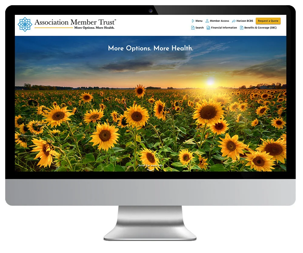 AMT Web site.jpg