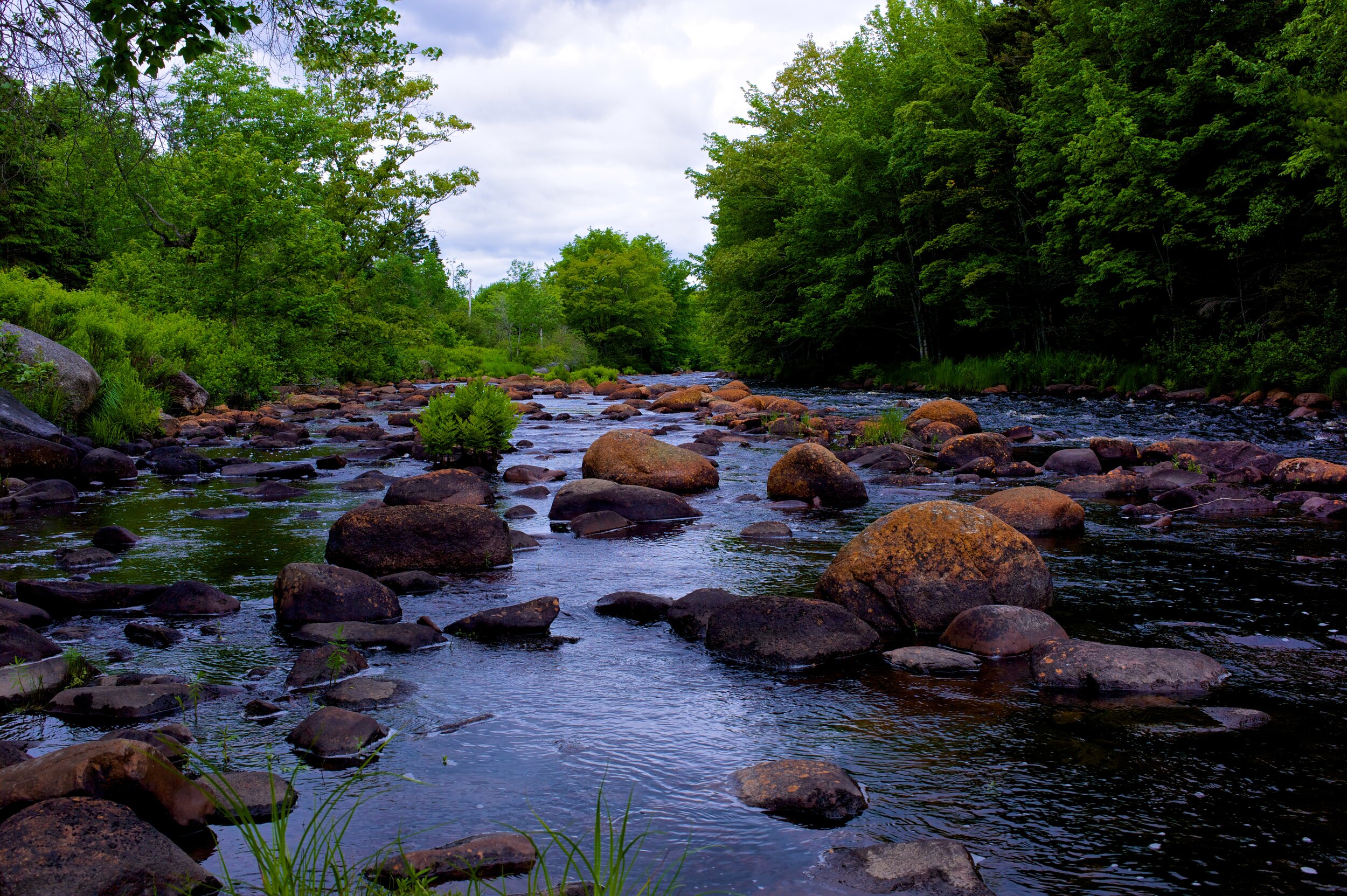 Petite River, near Crousetown, Nova Scotia