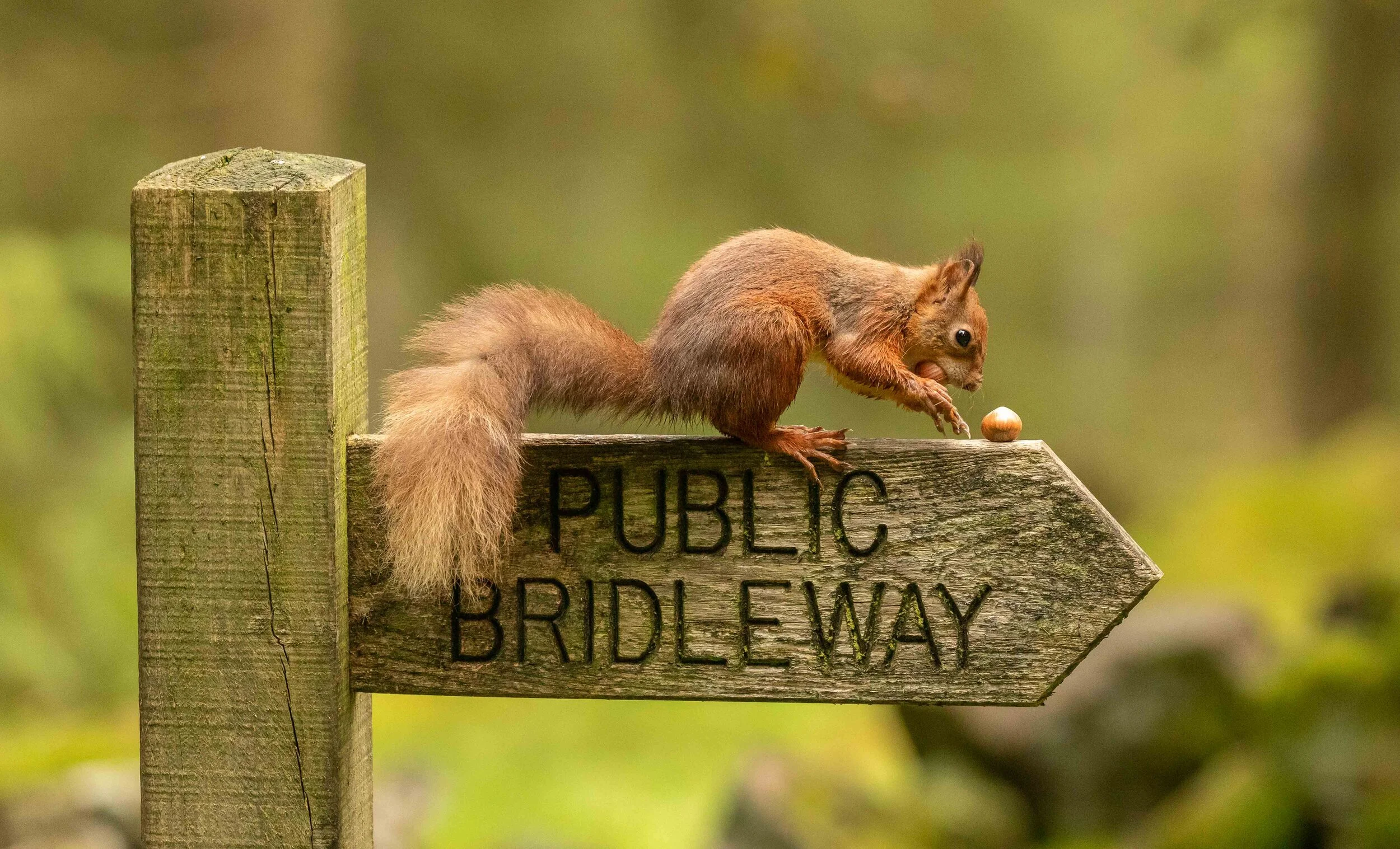 Asking for directions