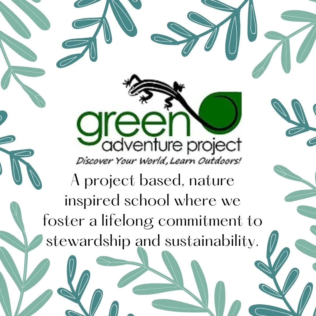 NonProfit Rewards Program — The Scrappy Elephant — Creative Reuse