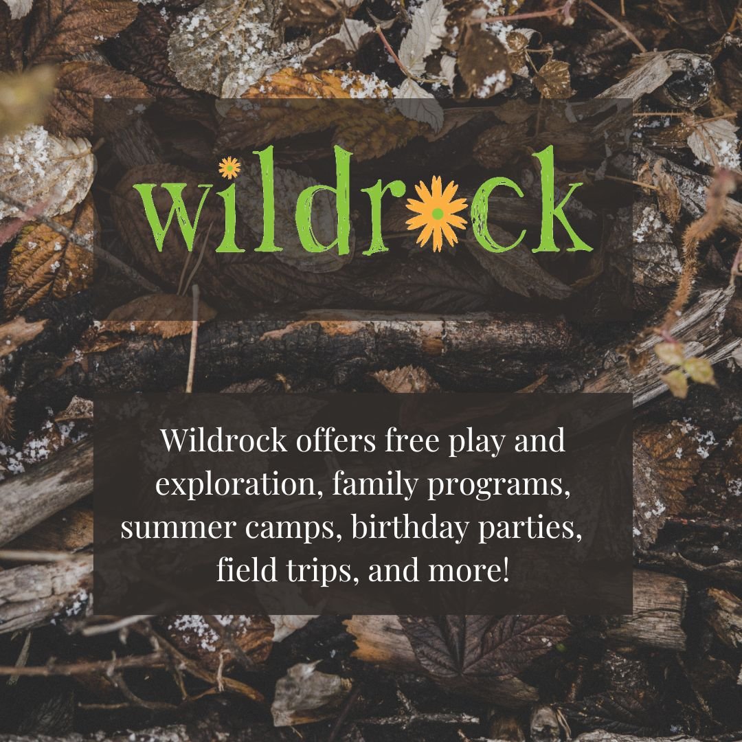 Wildrock offers free play and exploration, family programs, summer camps, birthday parties, field trips, and more!.jpg