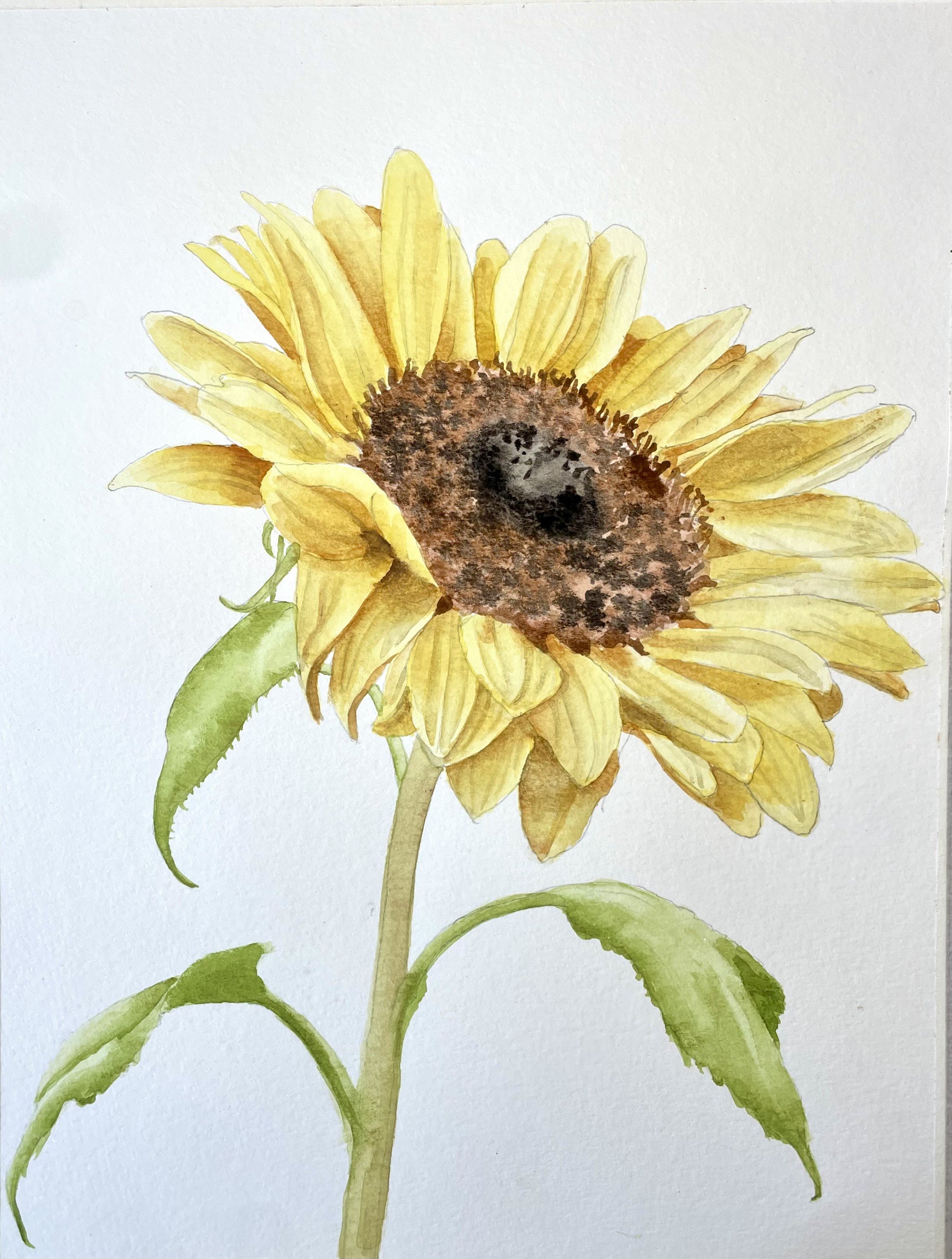 Watercolor Sunflowers