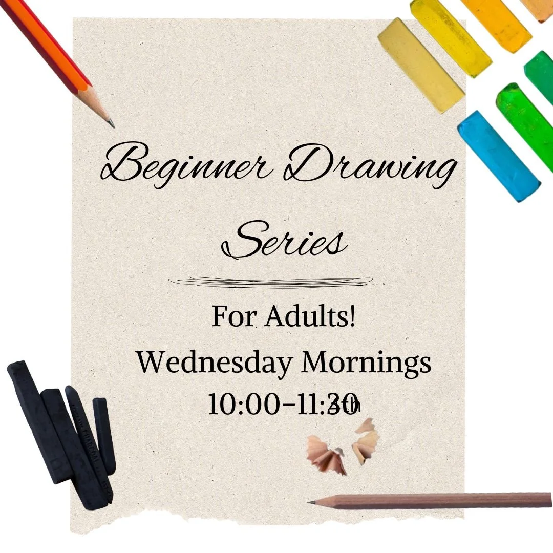 Beginner Drawing for Adults