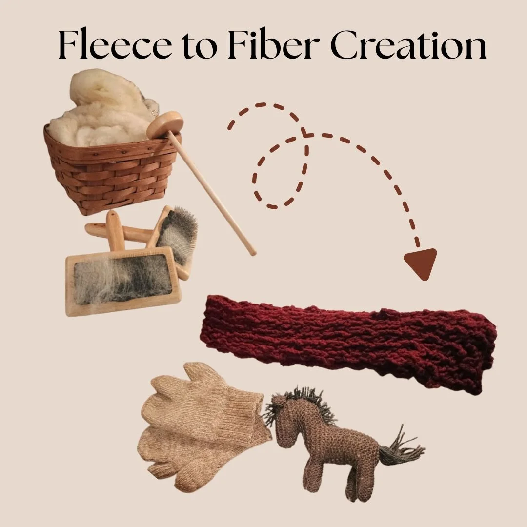 Fleece to Fiber Project