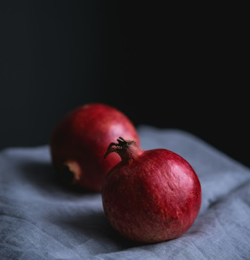 Oil Painting for Everybody! Still Life Edition 